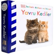 Afrodit AVM Bebek Dokun ve Hisset - Yavru Kediler