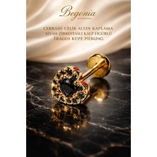 Begonia Accessories 316L Cerrahi Çelik Altın Kaplama Kararmaz Alerji Yapmaz Zirkon Taş Figür Unisex Tragus Küpe Piercing