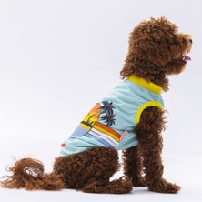 SHC4200 Mint Tişört Xxlarge 38X43X58 cm