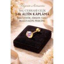 Begonia Accessories 316L Cerrahi Çelik Altın Kaplama Kararmaz Alerji Yapmaz Zirkon Taş Figür Unisex Tragus Küpe Piercing