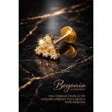 Begonia Accessories 316L Cerrahi Çelik Altın Kaplama Kararmaz Alerji Yapmaz Zirkon Taş Figür Unisex Tragus Küpe Piercing