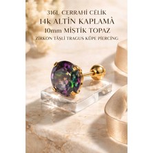Begonia Accessories 316L Cerrahi Çelik Altın Kaplama Kararmaz Alerji Yapmaz Zirkon Taş Figür Unisex Tragus Küpe Piercing