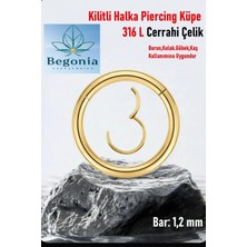 Begonia Accessories Antialerjik 316L Cerrahi Çelik Paslanmaz Kararmaz Kilitli Halka Kıkırdak Tragus Helix Piercing 1ADET
