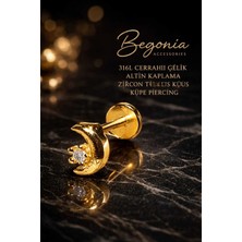 Begonia Accessories 316L Cerrahi Çelik Altın Kaplama Kararmaz Alerji Yapmaz Zirkon Taş Figür Unisex Tragus Küpe Piercing