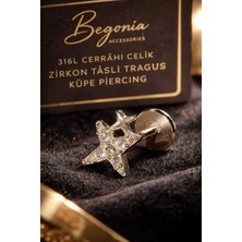 Begonia Accessories 316L Cerrahi Çelik Paslanmaz Kararmaz Alerji Yapmaz Zirkon Taşlı Figürlü Unisex Tragus Küpe Piercing