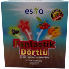 Kaia Life Fantastik Dörtlü Sel Yaz Çayı 45 Süzen Poşet