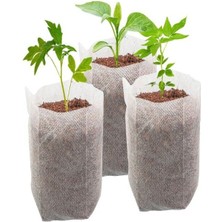 MarkEntegra Fide Çimlendirme Torbası - 20 Adet Ayaklı