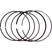 Palmera DM510209 Segman Takımı - Palmera DM51P-D196, DM53S-196