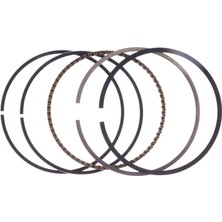 Palmera DM460219 Segman Takımı - Palmera DM46P-DO140