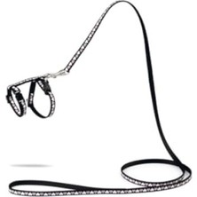 MarkEntegra Siyah Yavru Kedi Göğüs Tasması ve 120 cm Gezdirme Kayışı