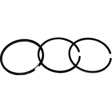 Palmera HP17005100 Segman Takım 70MM - Palmera PA-HP50D, 170