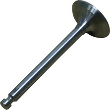 Palmera HP17003004 Supap Egzoz - Palmera PA-HP50D, 170