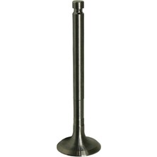 Palmera HP17803004 Supap Egzoz - Palmera PA-HP80D, 178