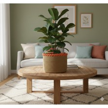 Şık ve Fonksiyonel Ev Dekoru, Düzenleyici ve Saklama Sepeti Seti