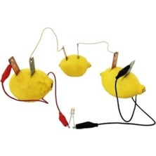 MarkEntegra Limon Temalı Bilim Deney Seti