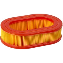 Palmera  DM510295 Hava Filitresi  Palmera Çim Biçme Makinası  DM51P-D196, DM53S-196