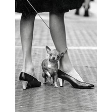 MarkEntegra 1000 Parça Yetişkin Yapboz - Hayat Temalı