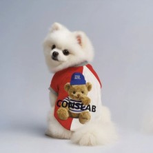 Puppy Party Beyaz Sevimli Ayıcık Baskıkı Iki Iplik Köpek Üstü