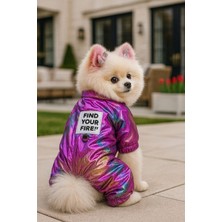 Puppy Party Parlayan Su Geçirmez Dört Ayaklı Köpek Montu