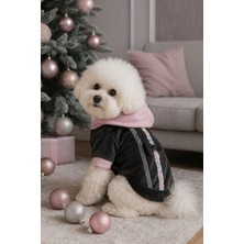 Puppy Party Kapüşonlu Gri Pembe Renkli Köpek Üstü