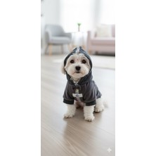 Puppy Party Füme Kapüşonlu Fiyonklu Köpek Sweeti