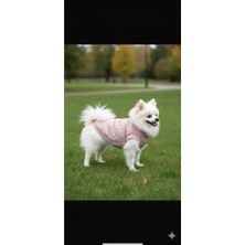 Puppy Party Köpek Kıyafeti