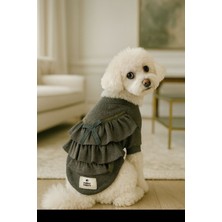 Puppy Party Köpek Kıyafeti