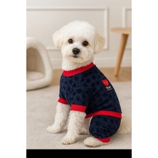 Puppy Party Köpek Kıyafet