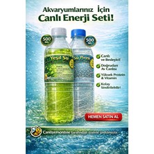 Koçlar Yeşil Su Akvaryum Balıkları İçin Su Piresi Hediyeli 500 Ml Besleyici Balık Yemi