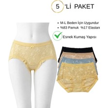 Yüksek Bel Dantel ve Tüllü Dokuma Desenli Kadın Külot Seti 5’li M-L