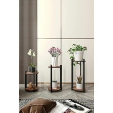 Royal Rain Store Çiçeklik Saksılık – Yuvarlak Tasarımlı, Safir Meşe Renkli, Farklı Yüksekliklerde Ahşap Bitki Standı, Salon Balkon ve Ofis Kullanımı Için Dekoratif Saksı Sehpası Seti