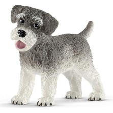 Royal Rain Store World-Minyatür Schnauzer
