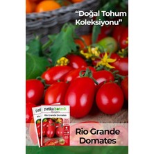 Royal Rain Store Botanik 200 Adet Rio (Bursa, Salçalık) Domates Tohumu
