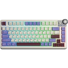 Royal Rain Store AU75 3 Modlu Rgb Hot Swap Mekanik Tkl Seiya Switch Kablosuz Makrolu Klavye Bej