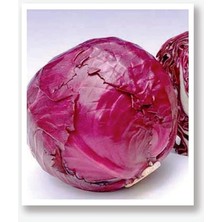 Royal Rain Store Tarım Yerli Mor Lahana Mohrenkopf 1000 Adet Tohum