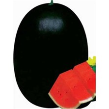 Royal Rain Store Halep Siyah Karpuz Tohumu 30 Adet Tohum