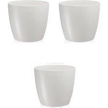 Royal Rain Store Iç Mekan Saksı, 1,9lt, 3 Adet, Beyaz
