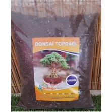 Royal Rain Store Toprağı 3 Lt Ithal Torf Perlit Kırmızı Pomza Lav Taşı Karışımlı Özel Bonsai Toprak