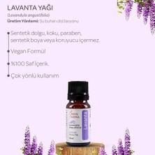 Royal Rain Store Farma Lavanta Uçucu YAĞ%100 Doğal Saf Katkısız Aromaterapi Cilt Bakım Yağı Buhurdanlık Kokusu 10 ml