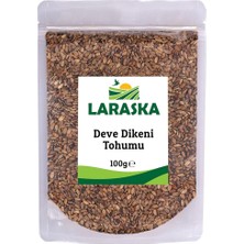 Royal Rain Store Dikeni Tohumu 100G
