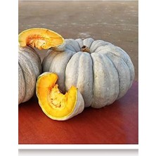 Royal Rain Store Tarım Ata Tohumu Yerli Balkabağı 10 Adet Tohum