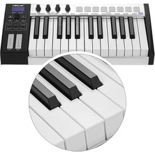 Royal Rain Store Blue Whale 25 Tuş Midi Klavye