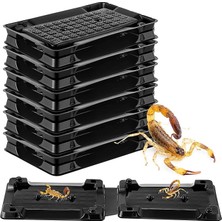 Royal Rain Store 6 Akrep Tutkal Tepsisi Tuzağı, Yapışkan Akrep Katili Iç Mekan, Evcil Hayvan ve Çocuklar Için Güvenli, Akrep Kovucu, Iç Mekan Böcek Tuzağı, Bodrum, Banyo ve Garaj Için Yapışkan Böcek