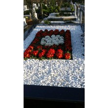 Royal Rain Store Mezar Taşı 11 kg 2-4 cm Beyaz Dolomit Taş Dere Çakıl Taşı Bahçe Süs Taşı Mezar Süsleme Taşı