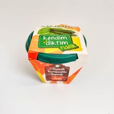 Royal Rain Store Bahçeci - Kendim Diktim Mini Saksıda Fidelik Dikim Seti - Salatalık