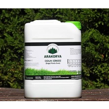 Royal Rain Store Odun Sirkesi 10 Litre