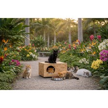 Turkuaz Tırmalama Büyük Boy Osb Dış Mekan  sokak için kedi Kulübesi Kedi Evi Kedi yuvası,kedi  barınak