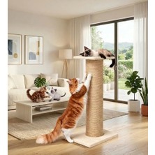 Turkuaz Tırmalama  TR171   dev tırmalama tahtası