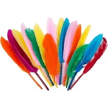 Royal Rain Store Karışık Renkli 10 Lu Paket