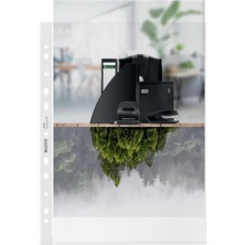 Royal Rain Store Recycle Poşet Dosya, A4, Şeffaf, 25 Adet